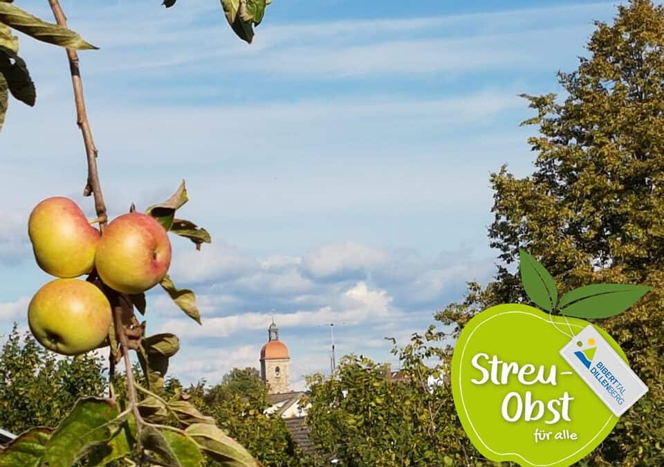 Wir suchen alte Obstsorten in der Kommunalen Allianz Biberttal-Dillenberg – Machen Sie mit!