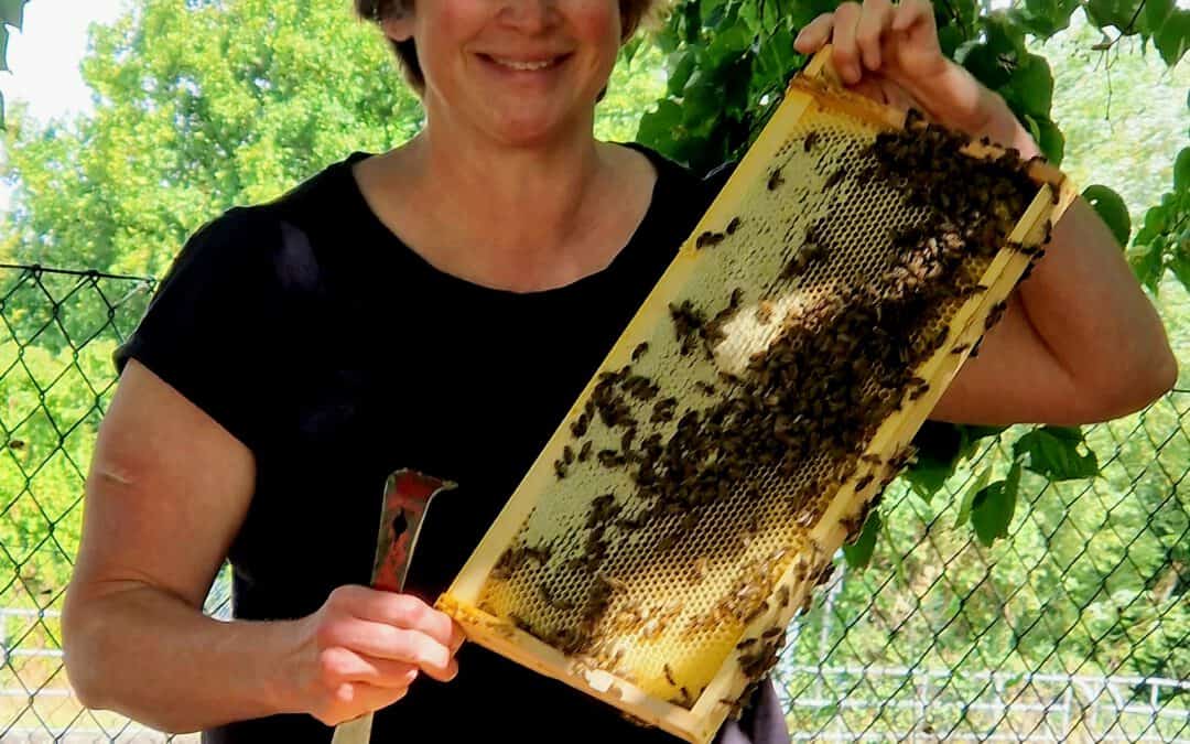 Obstkolumne „Streuobst für alle“: Inga Klingner vom Imkerverein Cadolzburg e.V. erklärt, was Streuobst und Bienen miteinander zu tun haben