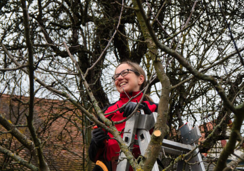 Obstkolumne „Streuobst für alle“: Yvonne Beßlich vom Gartenbauverein Roßtal und Umgebung e.V. stellt die Ausbildung und Aufgaben einer zertifizierten Landschaftsobstbaumpflegerin vor